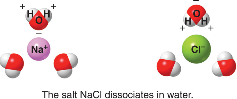 salt NaCl