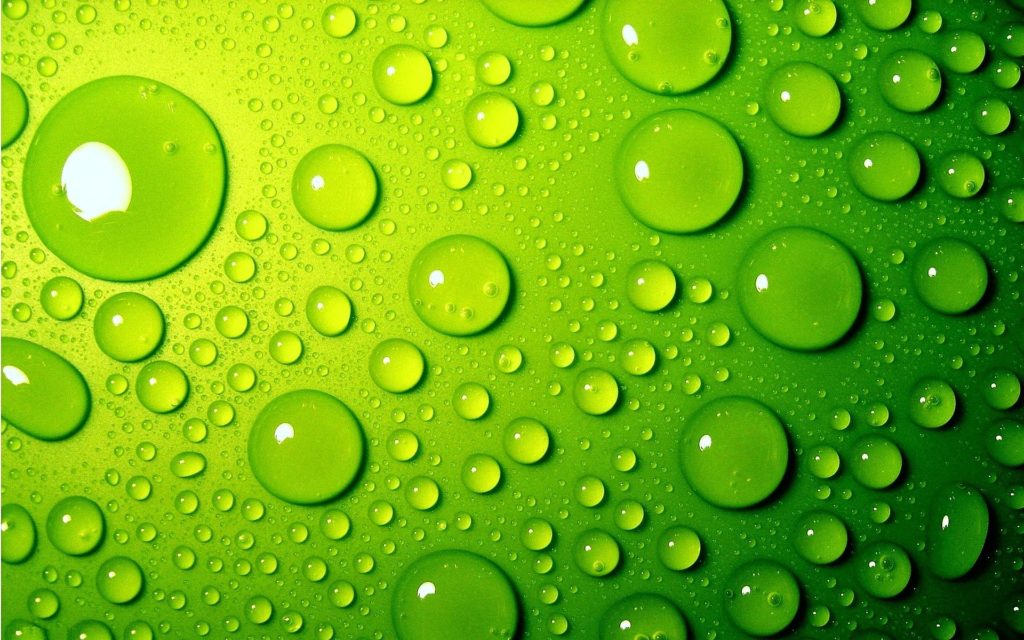 water drops on green background