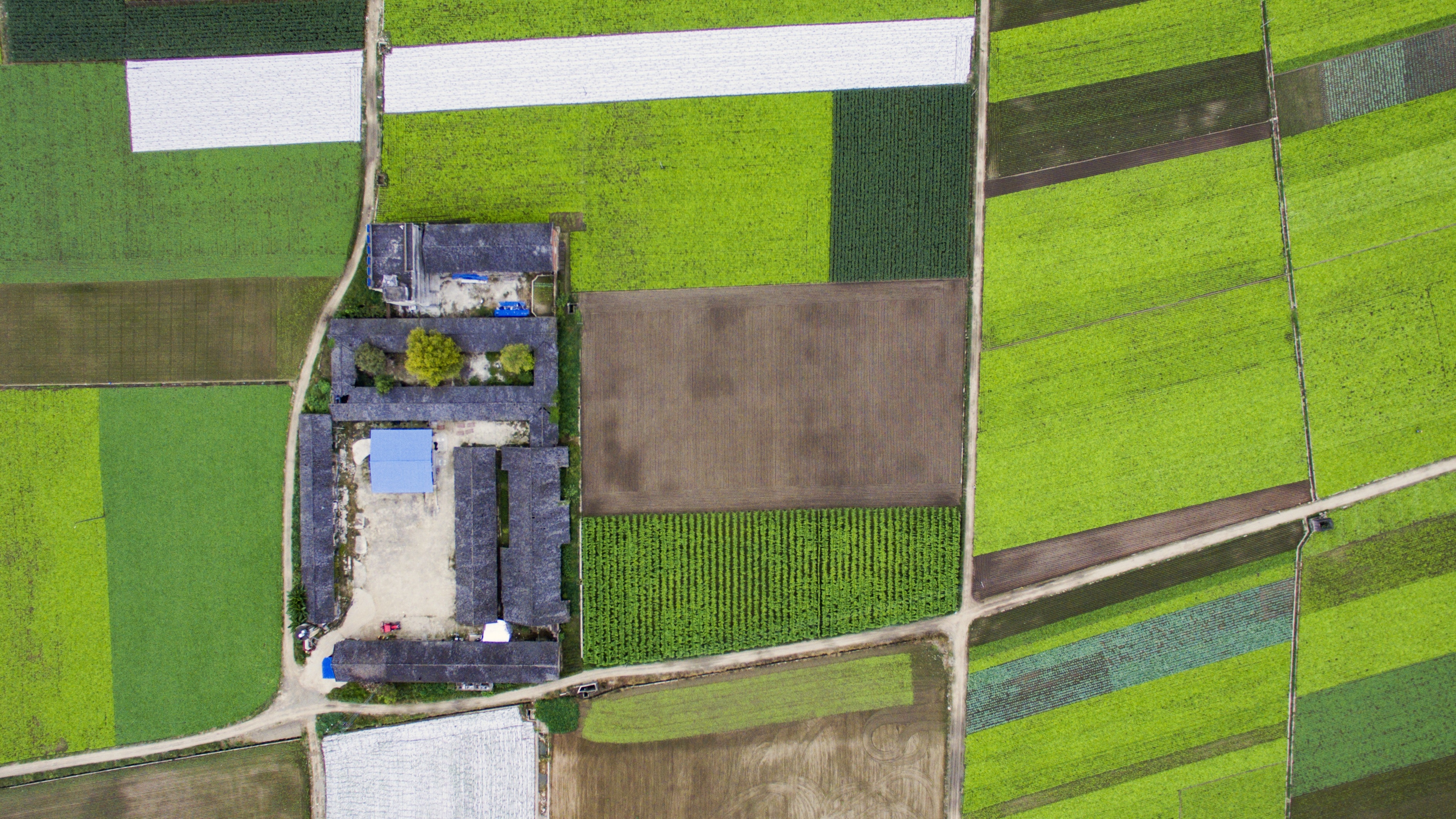 mw960367054-395753-unsplash
